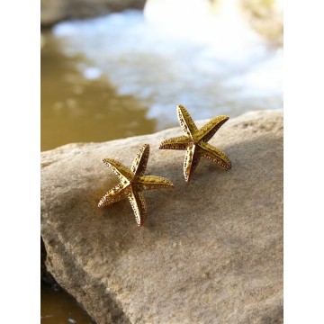 Brincos Estrela do mar aço dourado
