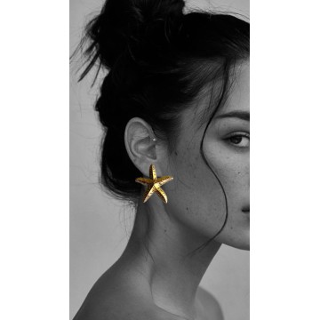 Brincos Estrela do mar aço dourado