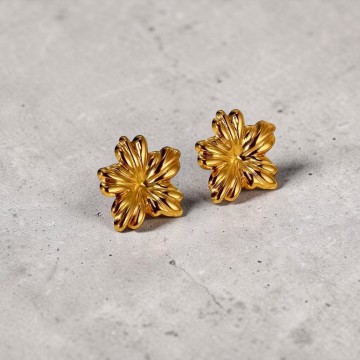 BRINCOS IVY AÇO INOXIDÁVEL