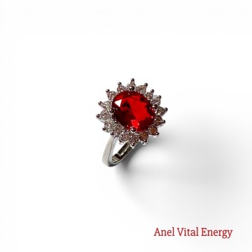 ANEL VITAL ENERGY