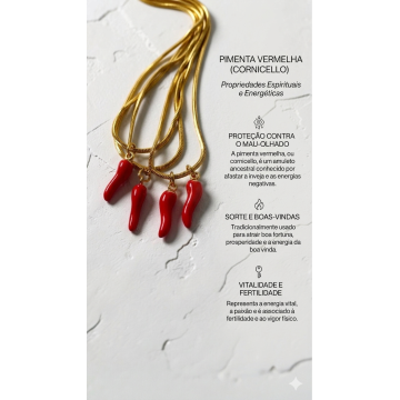 COLAR PIMENTA VERMELHA AÇO