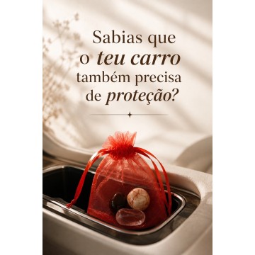 BOLSA PROTEÇÃO CARRO