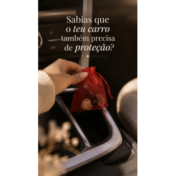 BOLSA PROTEÇÃO CARRO